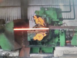 Gripping Shear